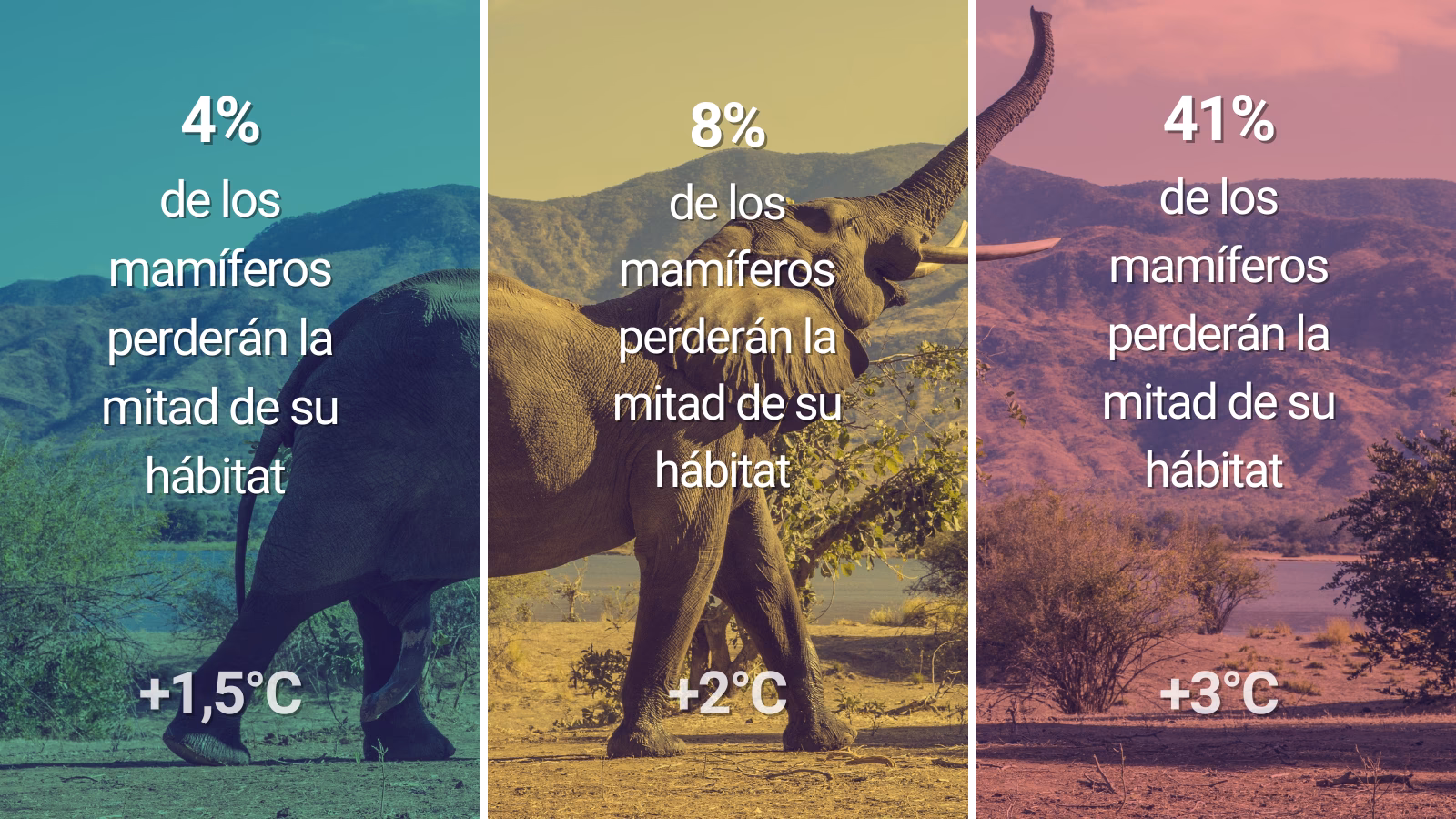 ¿Cómo afectan las temperaturas a los ecosistemas?