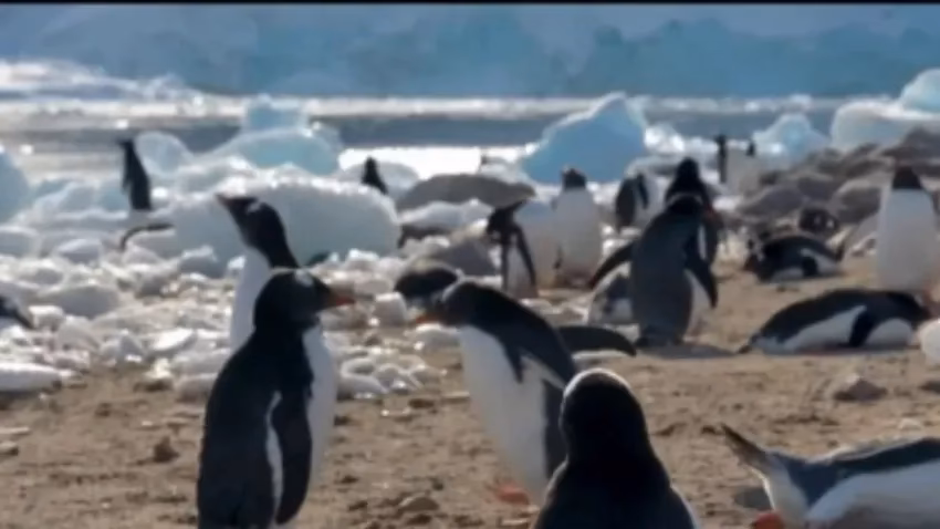 ¿Cómo contribuye el turismo al cambio climático?