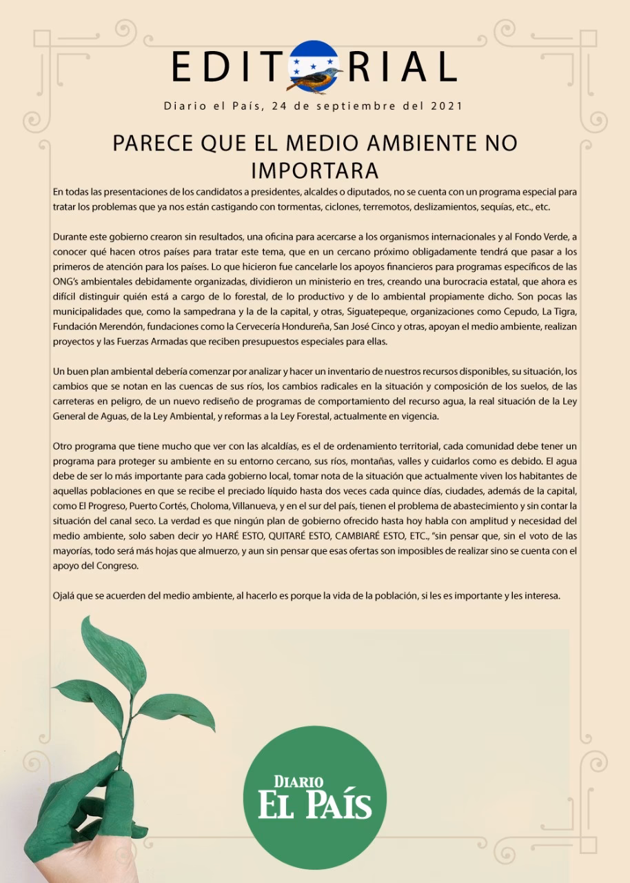 ¿Cuándo se creó el Día Mundial del Medio Ambiente?