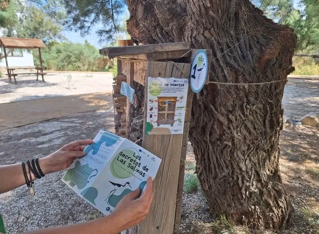 ¿Cómo promover la educación ambiental de la comunidad?