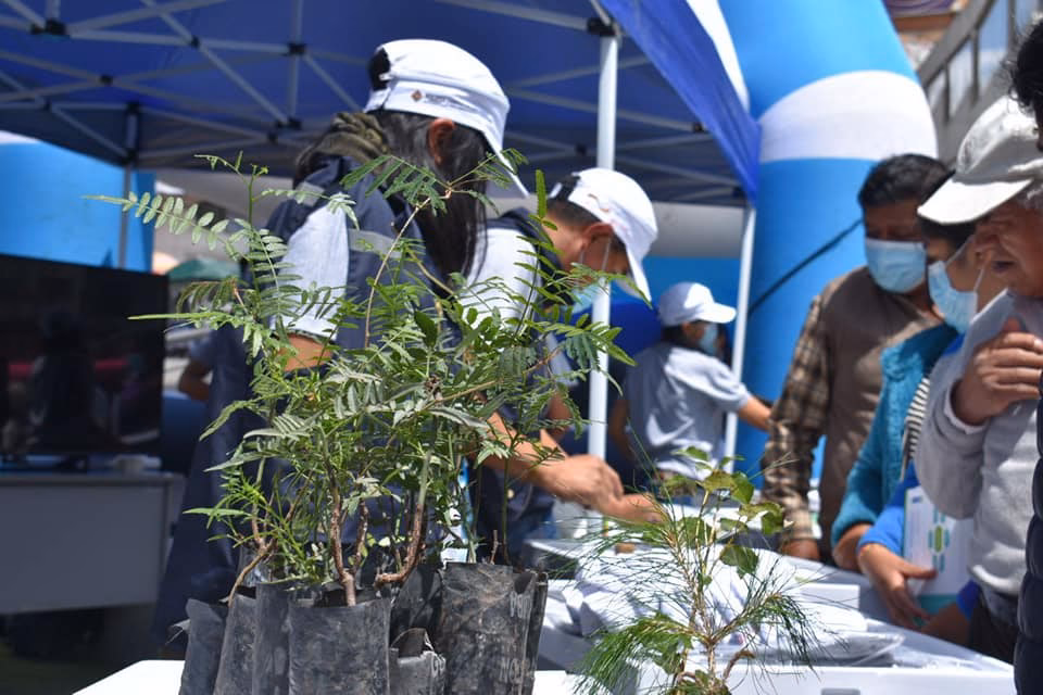 ¿Cómo se rige la evaluación de impacto ambiental en Bolivia?