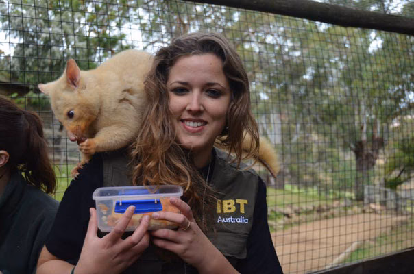 ¿Cómo es la educación en Australia?