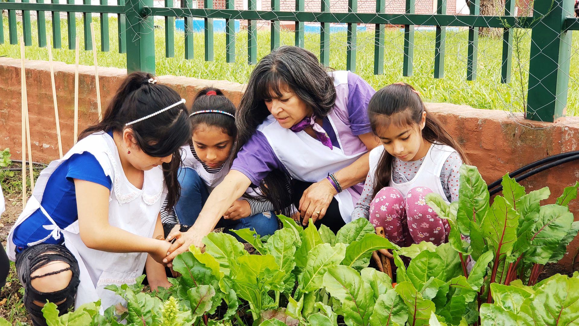 ¿Qué es la educación ambiental?