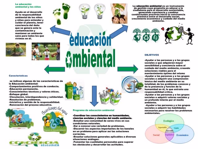 ¿Cuáles son las actividades de Educación Ambiental?