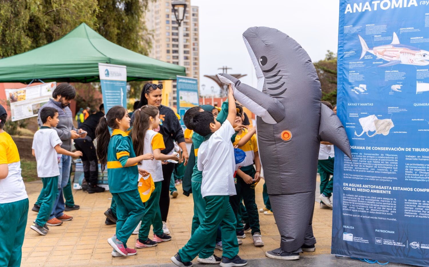 ¿Cuáles son los ejes más importantes de la educación ambiental?