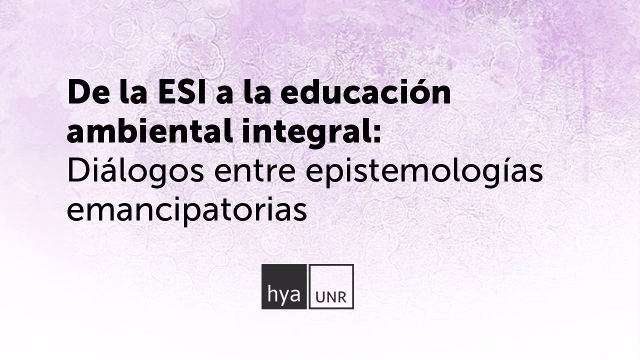 ¿Qué son la ESI y la EAI?