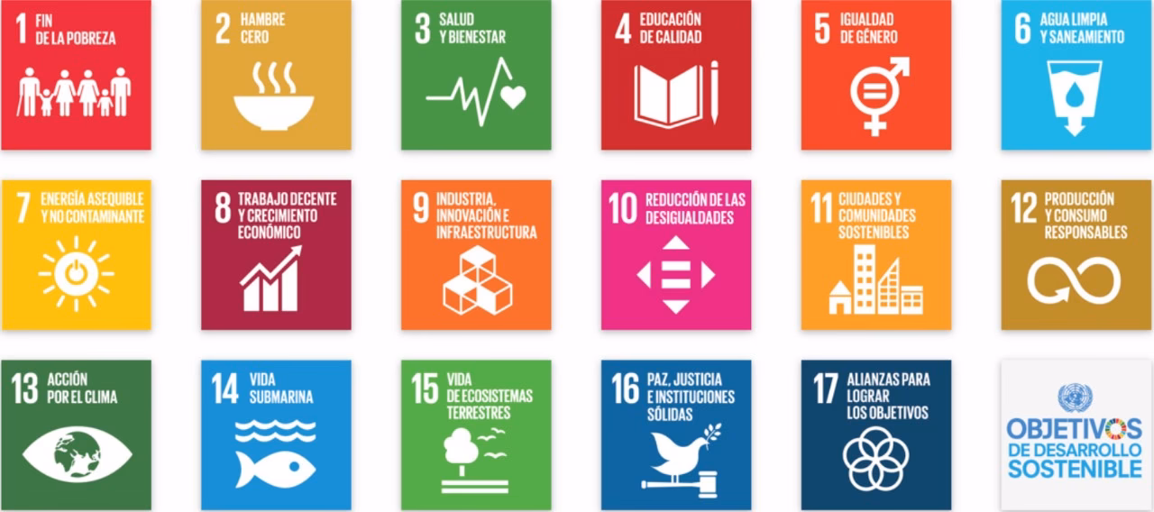 ¿Cómo se regula la educación ambiental?