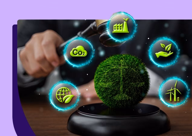 ¿Por qué es necesaria la regulación ambiental?