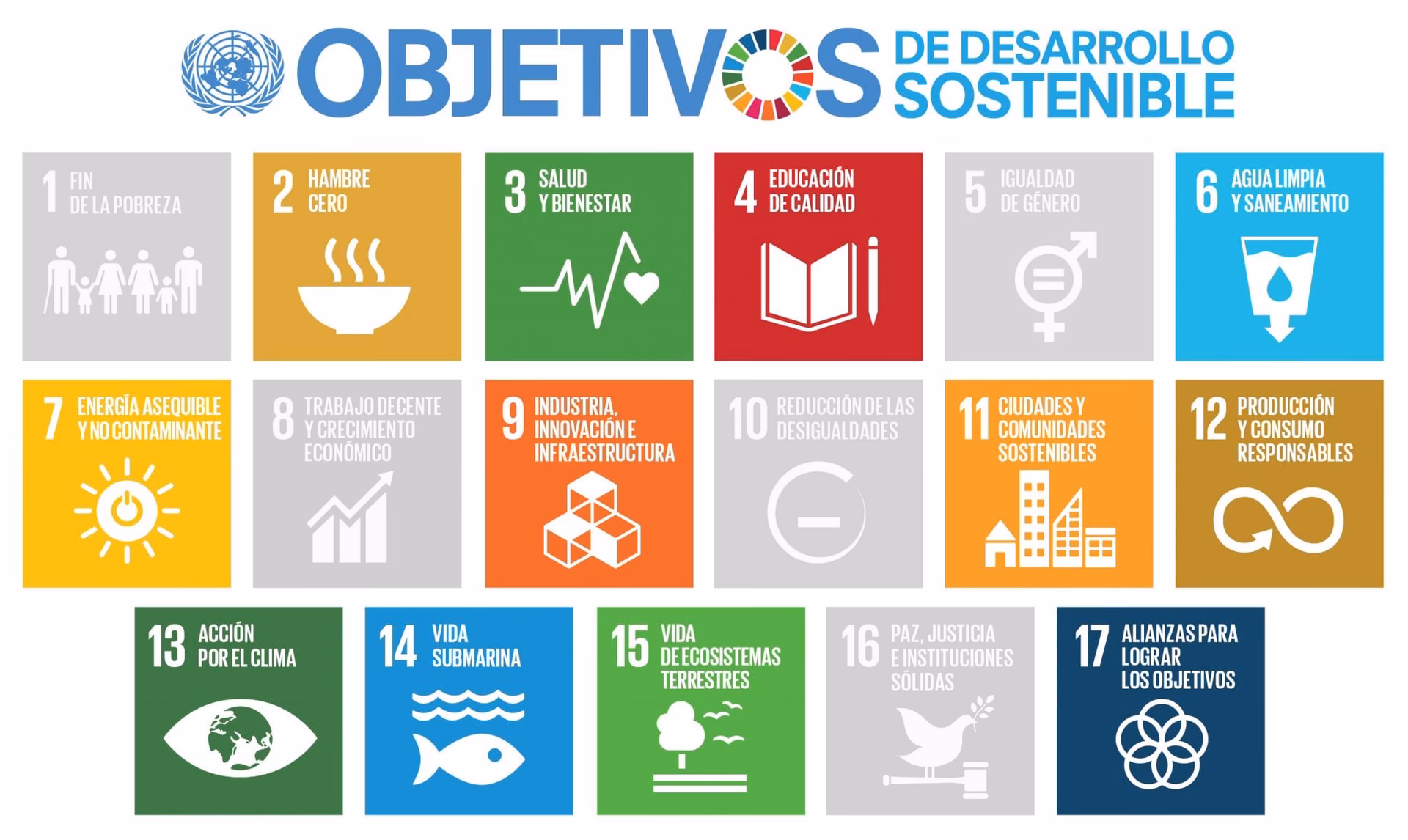 ¿Cuáles son los objetivos de la Escuela de medio ambiente?