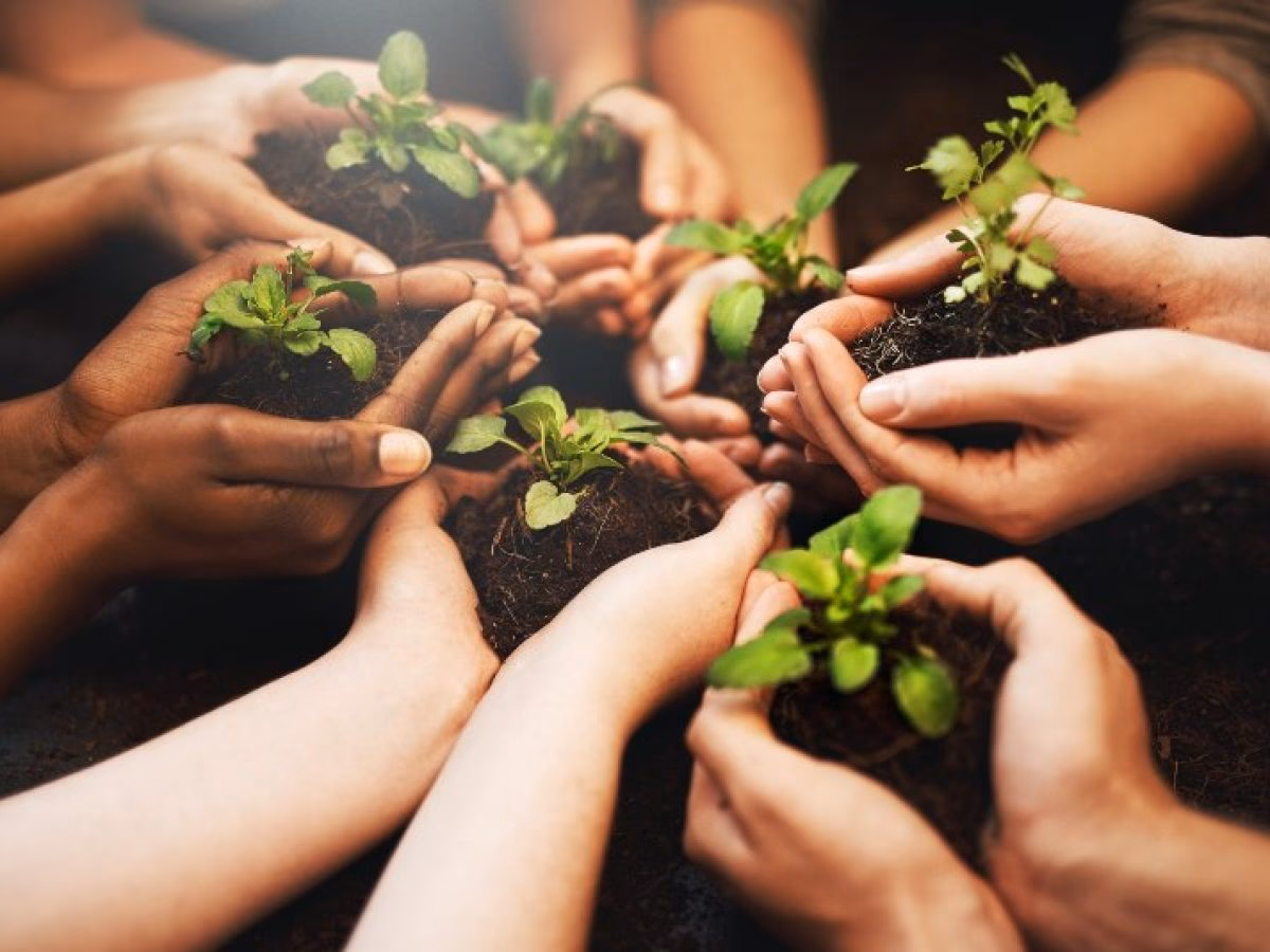 ¿Qué es un Congreso de Educación Ambiental?