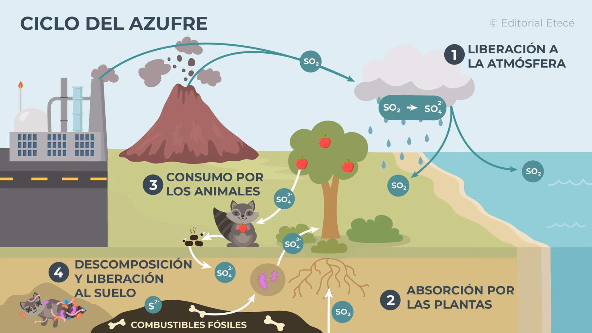 ¿Qué efectos tiene el azufre en el medio ambiente?