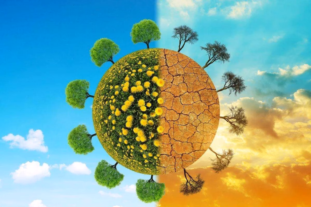 ¿Cómo afecta el clima a la polinización?