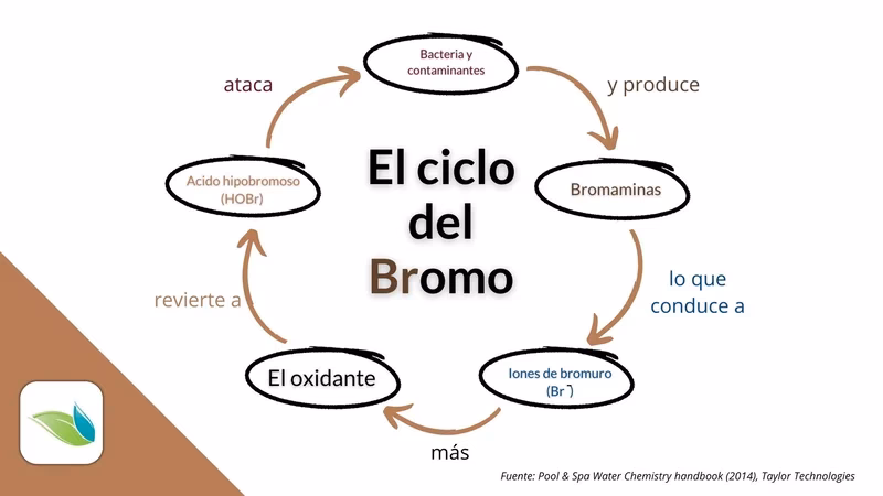 ¿Cómo se extrae el bromo?