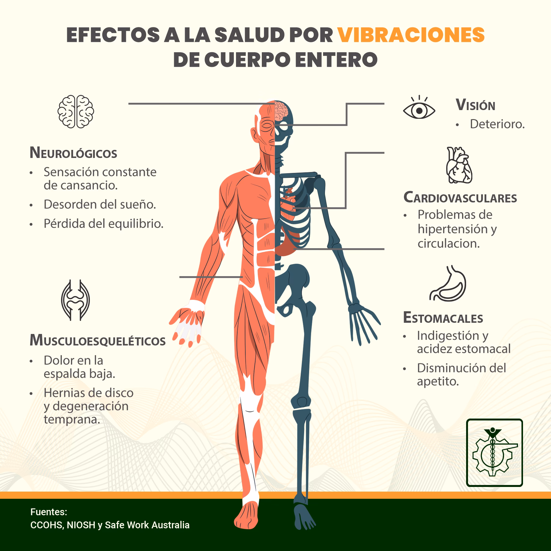 ¿Cuáles son los factores que influyen en el nivel de vibración?