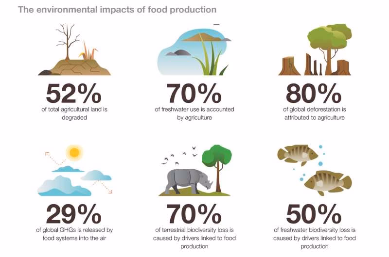¿Cuál es el impacto del Complejo Oleaginoso?