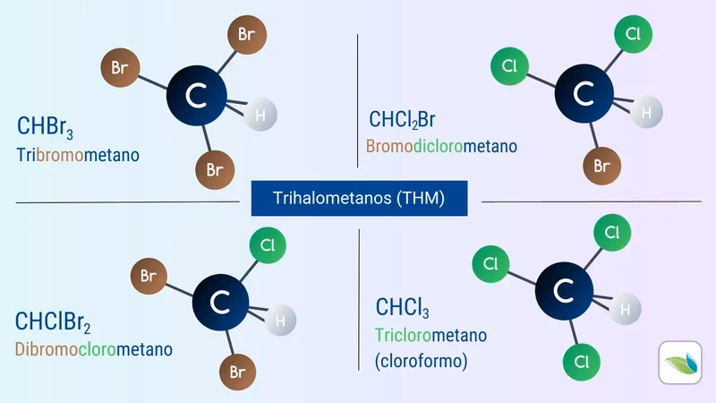 ¿Por qué el bromo elemental es más tóxico que el bromuro?
