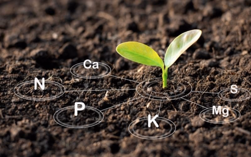 ¿Qué es el calcio?