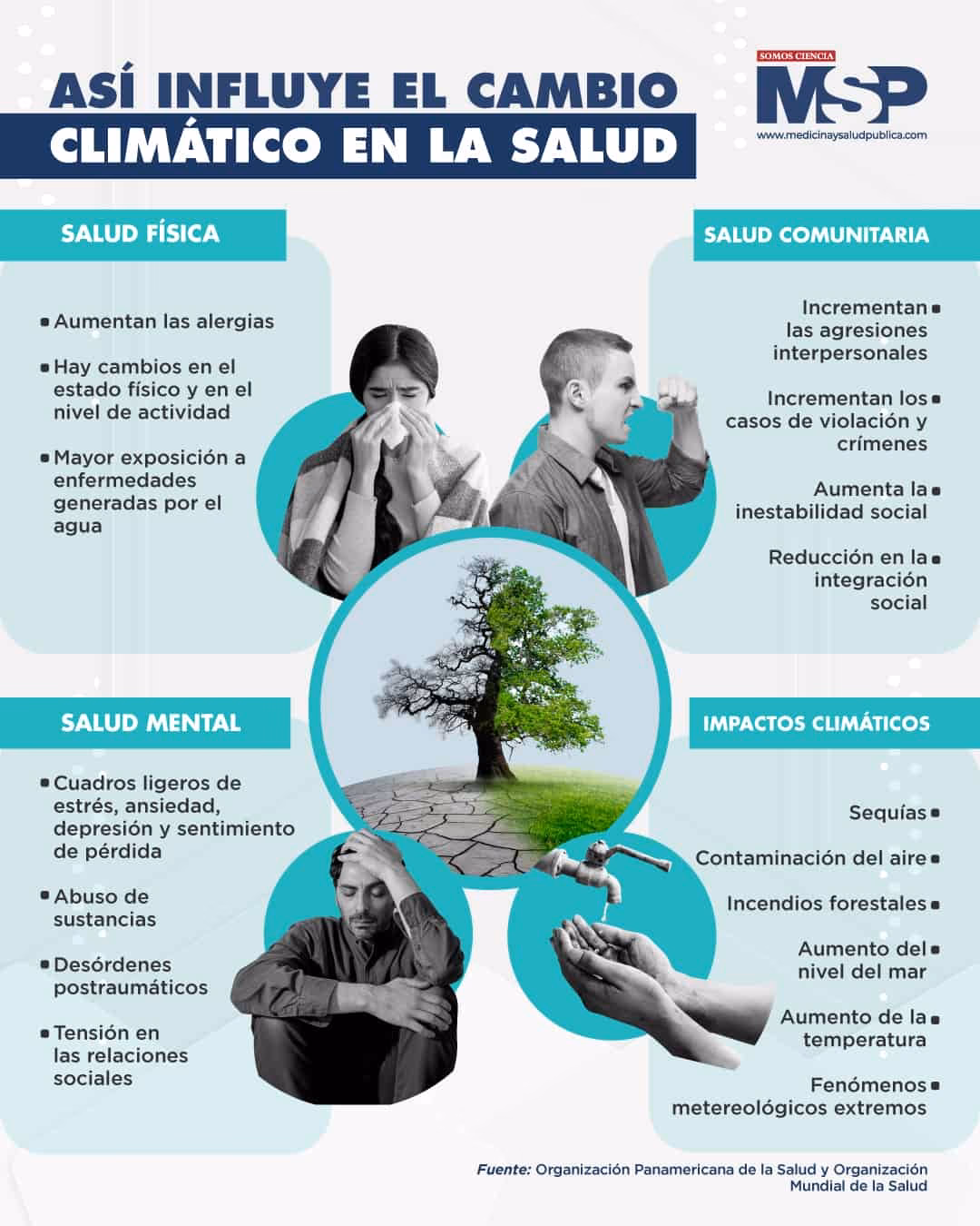 ¿Cómo prevenir el cambio climático?