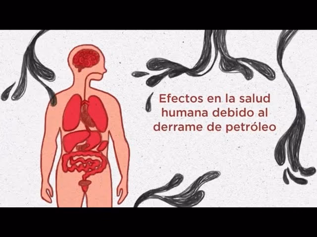 ¿Cómo afecta la extracción de petróleo al medio ambiente?