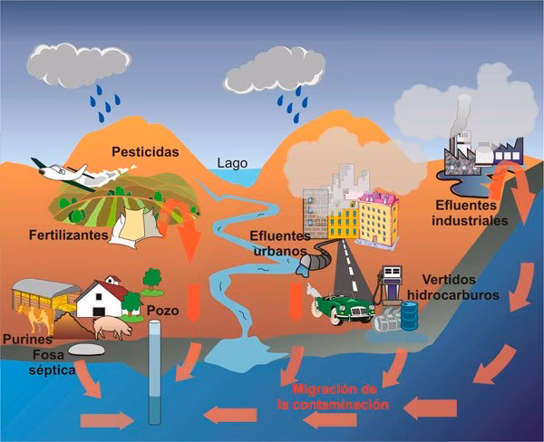 ¿Cuáles son los efectos a largo plazo de la contaminación ambiental?