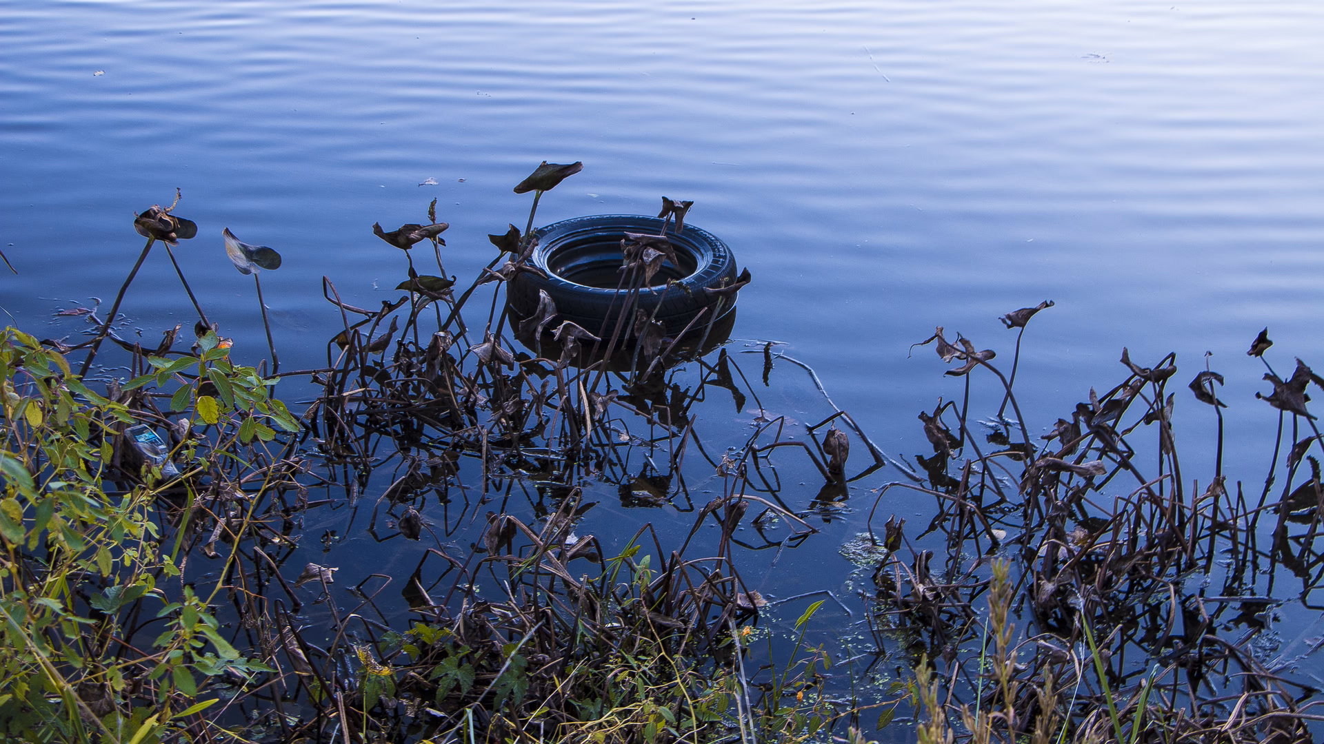 ¿Cómo afectan los efluentes al medio ambiente?