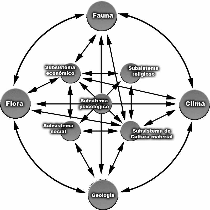 ¿Qué es un enfoque sistémico en la gestión ambiental?