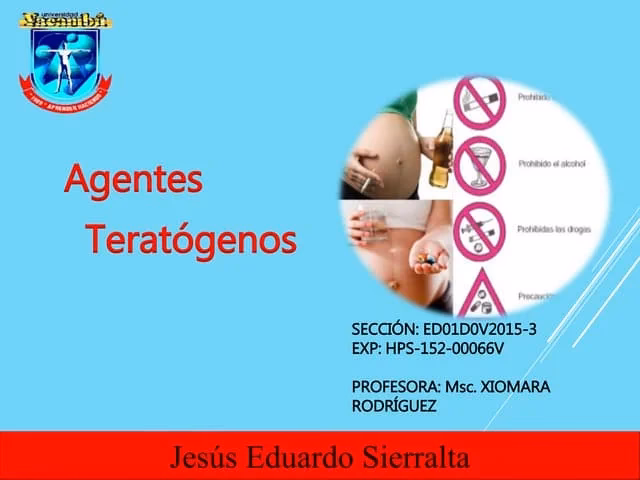 ¿Qué es un contaminante químico?