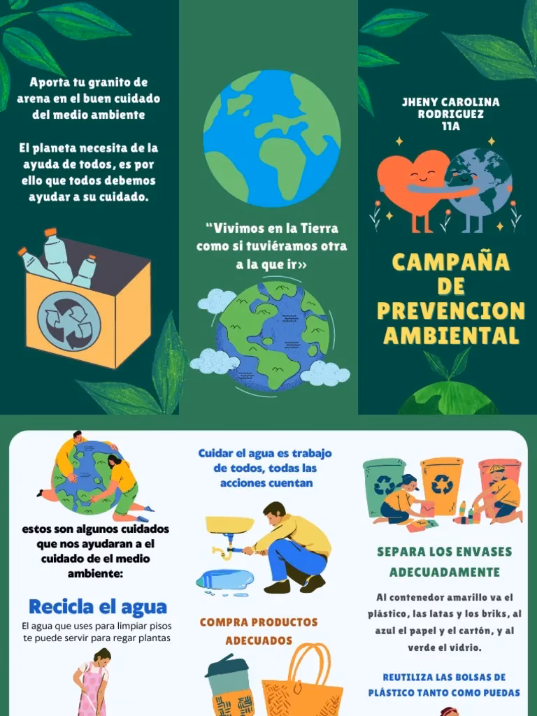 ¿Por qué es importante el cuidado ambiental?