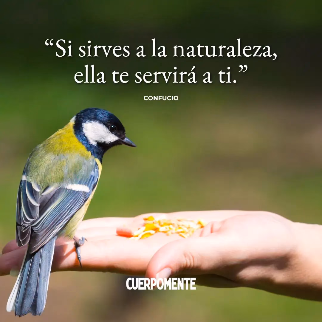 ¿Cuál es la importancia de la libertad?