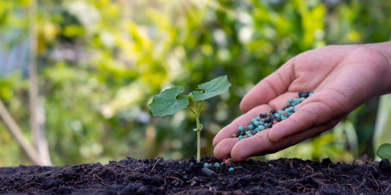 ¿Qué es el abono foliar?
