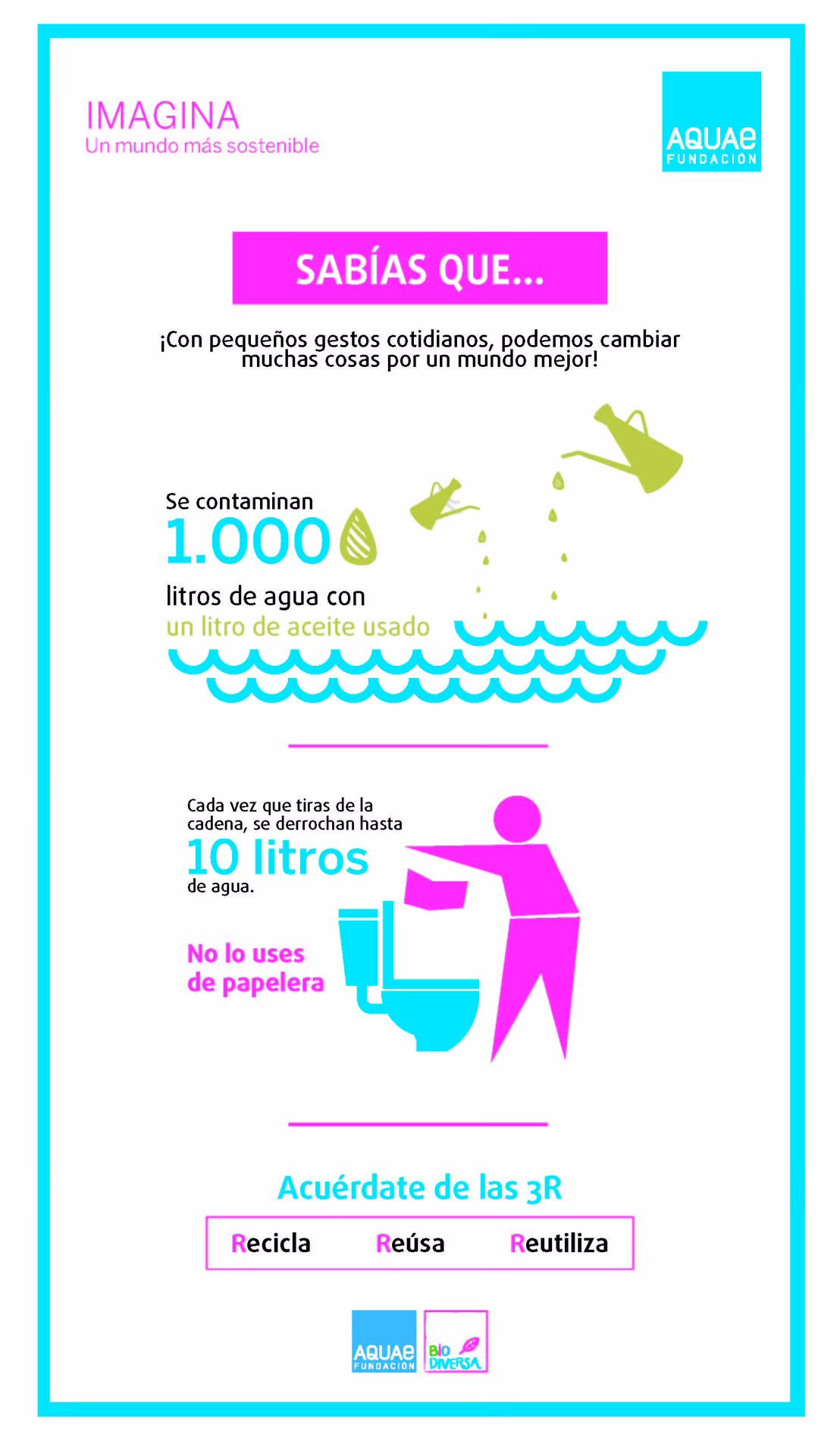¿Se puede erradicar la bacteria con el aceite de oliva?