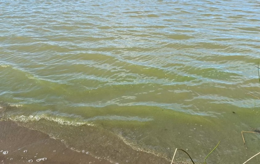 ¿Por qué el agua de Berazategui está contaminada?