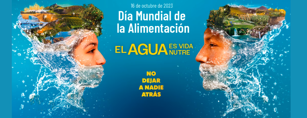 ¿Por qué el agua es un alimento?