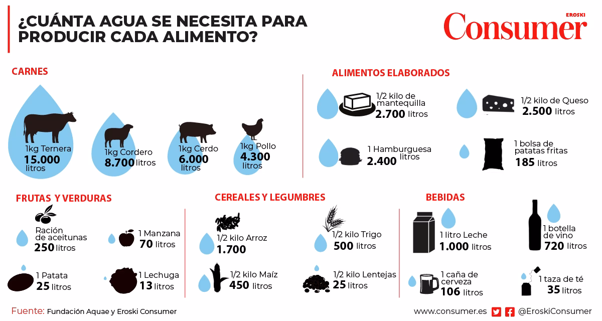 ¿Por qué el agua es un alimento?