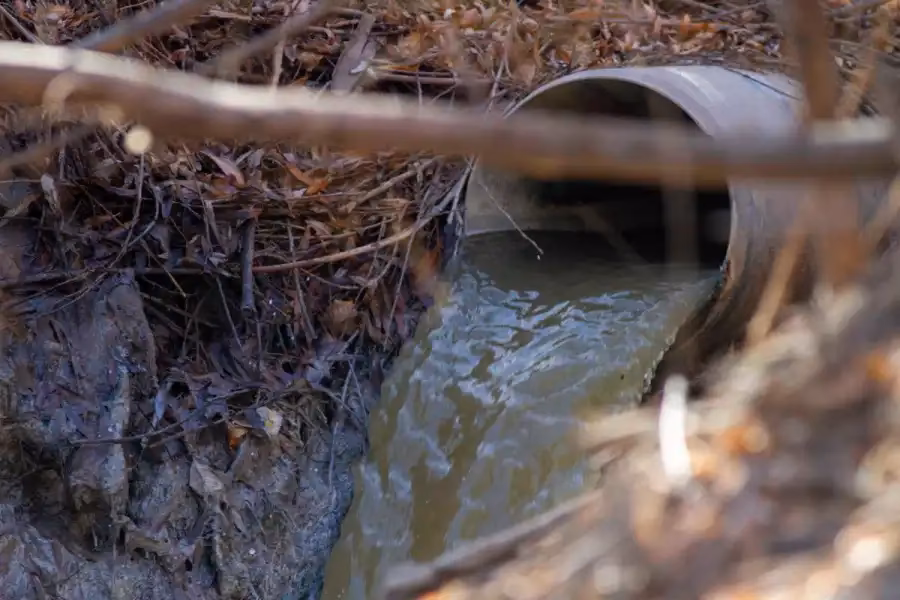 ¿Qué denuncias se presentaron por contaminación ambiental en Neuquén y Río Negro?