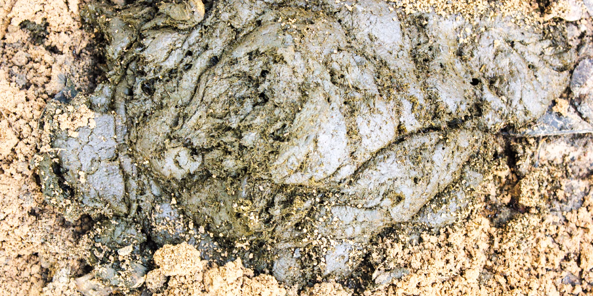 ¿Cómo afecta el amoníaco a los seres humanos?