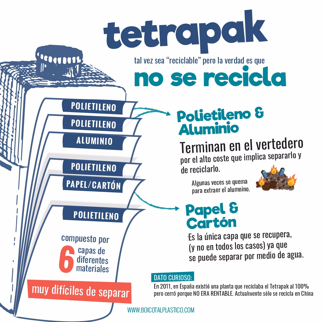 ¿Por qué BRICS debería abordar temas como el cambio climático?