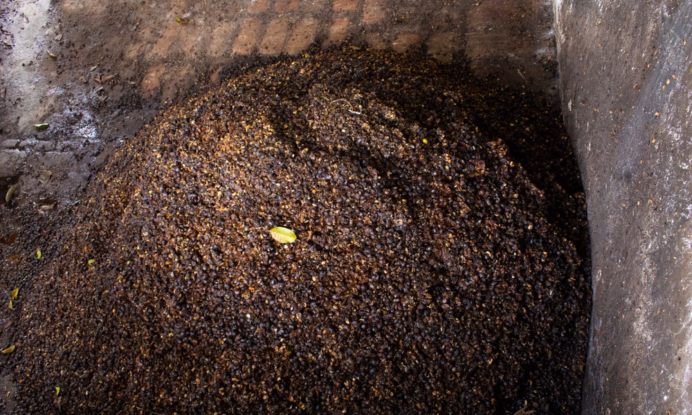 ¿Cómo se puede reducir el impacto ambiental del café?