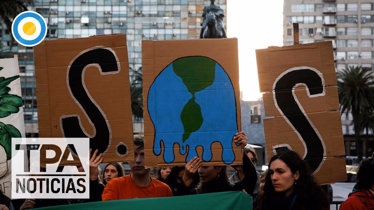 ¿Cómo combatir el cambio climático?