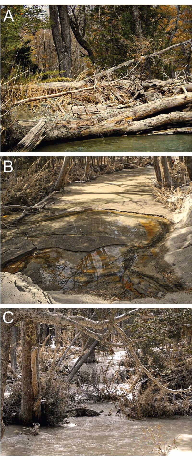 ¿Cómo afectan los cambios en los patrones de precipitación a los ecosistemas acuáticos?