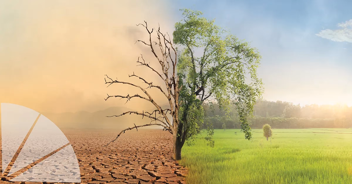 ¿Cuáles son los efectos del cambio climático en las personas con afectaciones neurológicas?