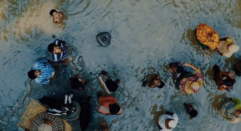 ¿Cómo combatir el cambio climático?