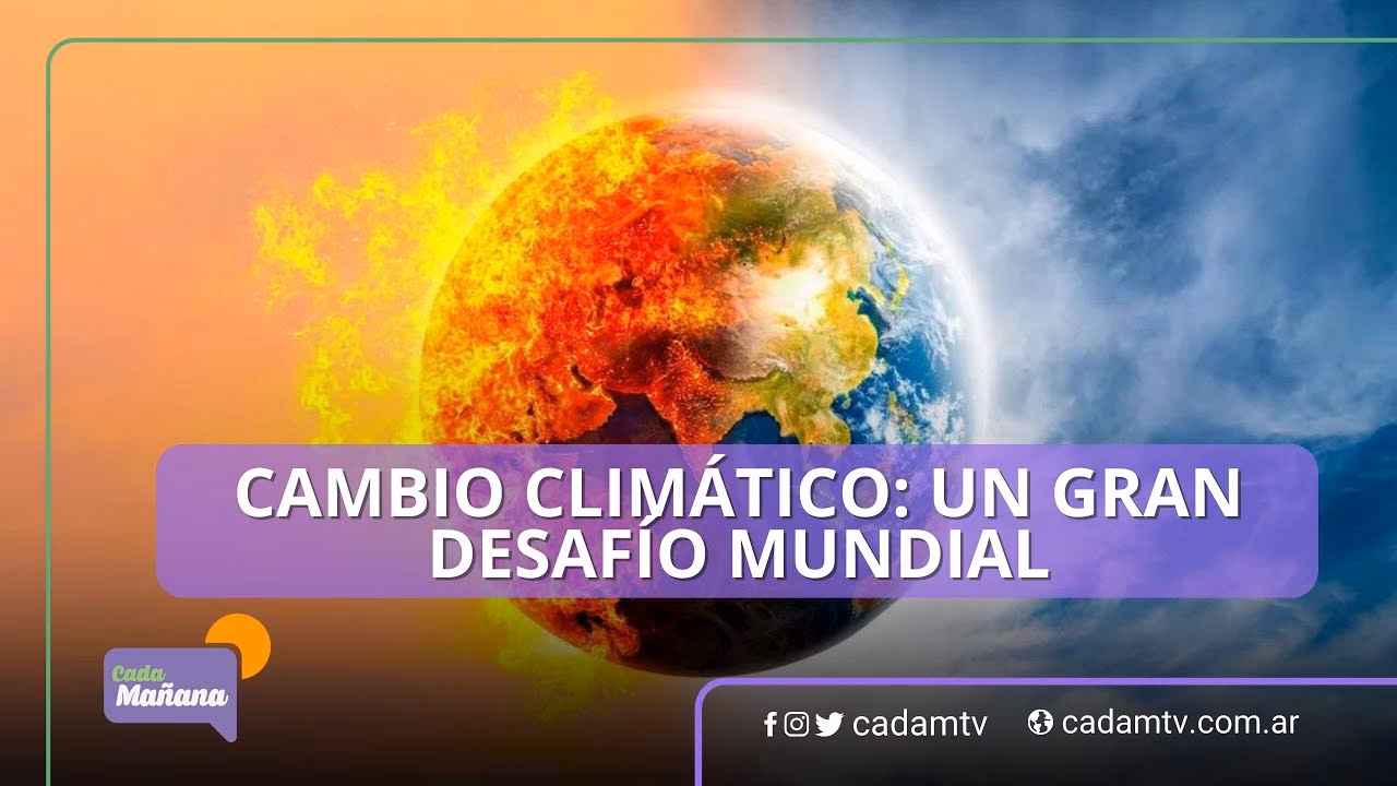 ¿Cómo combatir el cambio climático?