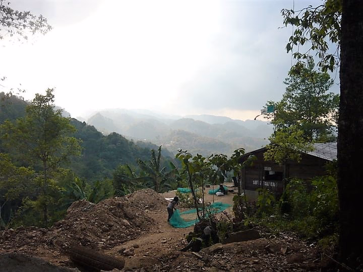 ¿Cuáles son los principales problemas ambientales de Chiapas?