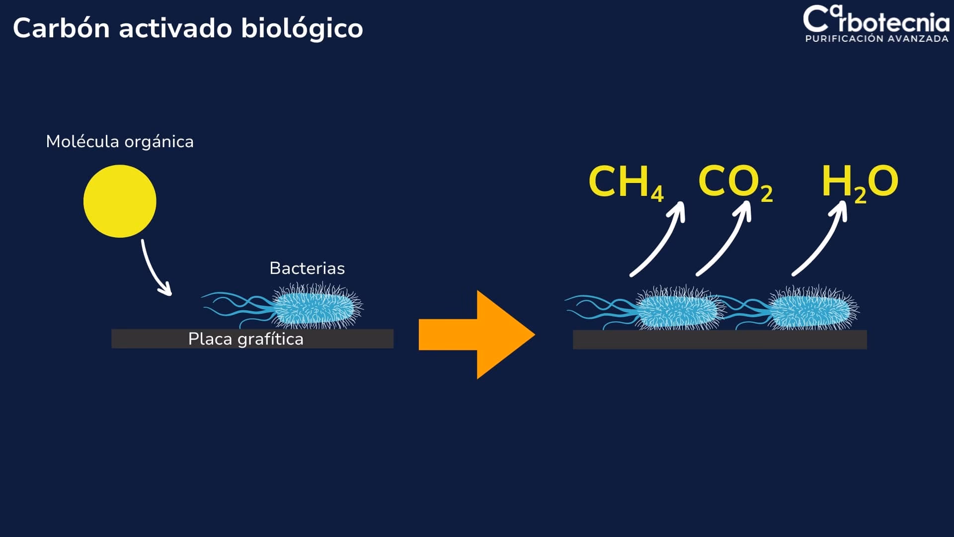 ¿Cómo influye el carbón activado en el tratamiento de aguas residuales?