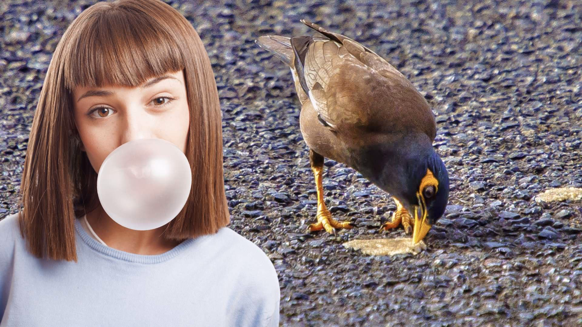 ¿Cómo afectan los chicles y colillas al medio ambiente?