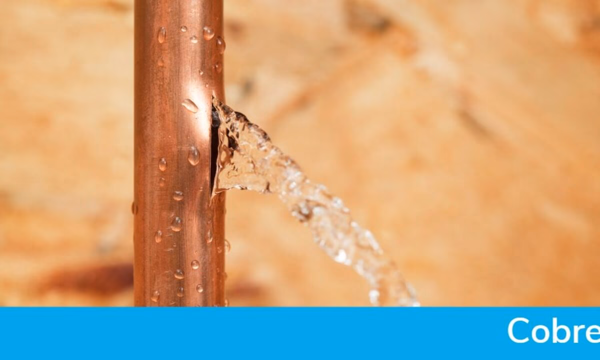 ¿Cómo se elimina el exceso de cobre del organismo?
