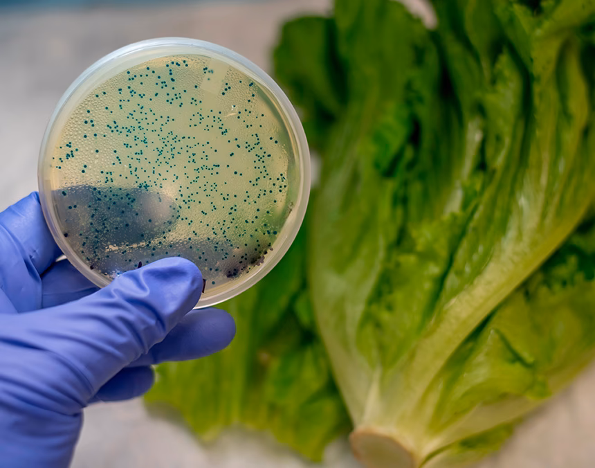 ¿Cómo prevenir el cólera?