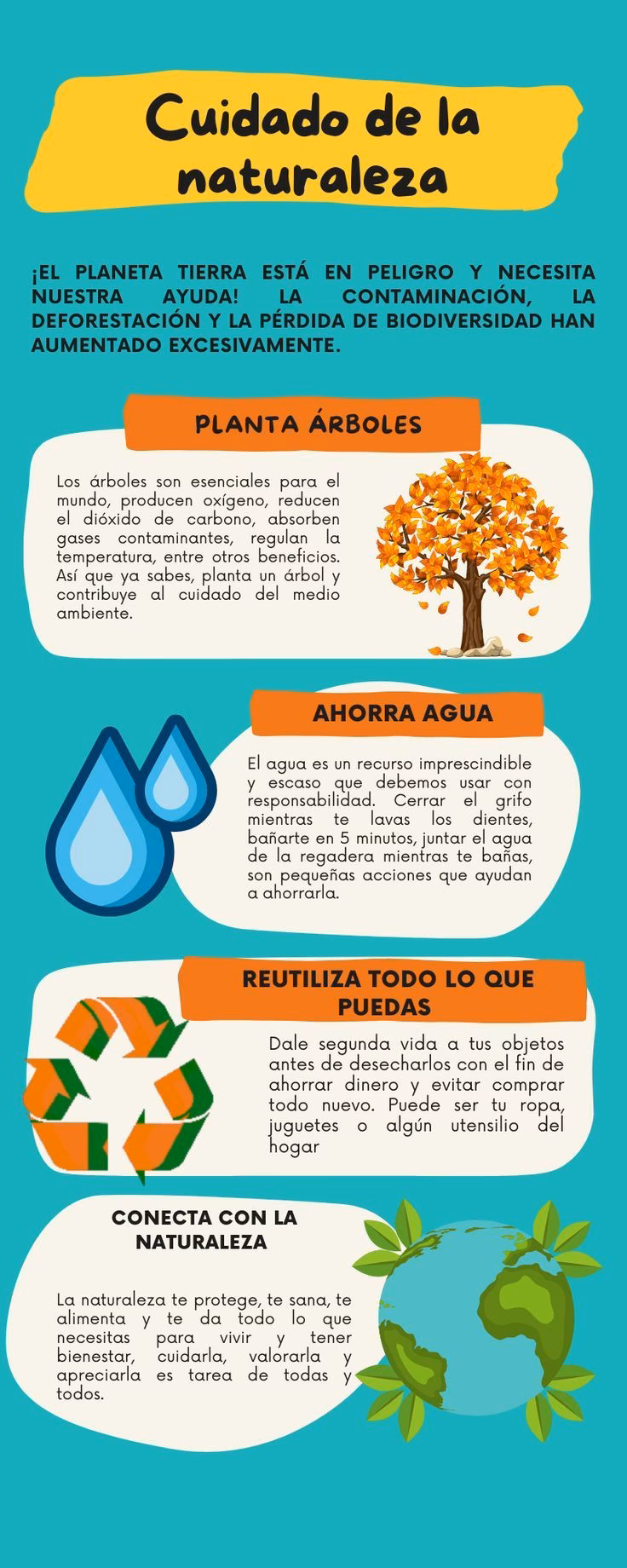 ¿Cuál es la importancia del cuidado ambiental?