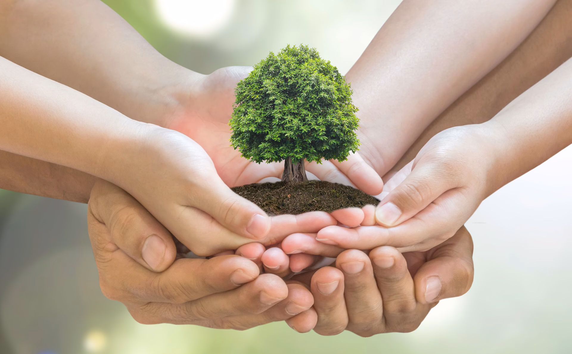 ¿Por qué es importante cuidar el medio ambiente?